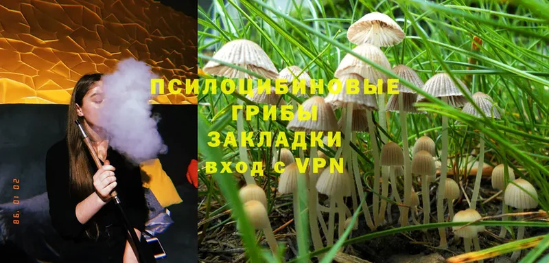 Псилоцибиновые грибы MAGIC MUSHROOMS  Бузулук 